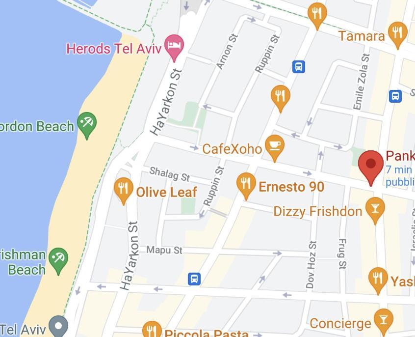 Duplex Penthouse Dizengoff Gordon Apartment *